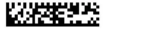 SEMI T7 Data Matrix barcode