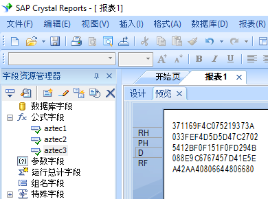 Aztec Code 水晶報表 公式 字段