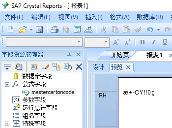 Master-Carton-Code 条码 水晶报表 公式 字段