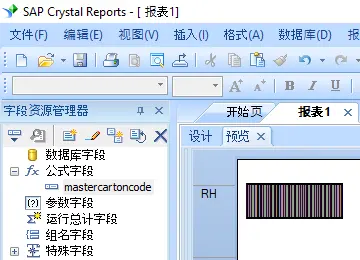 Master-Carton-Code 条码 水晶报表