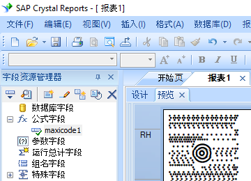 MaxiCode 水晶報表