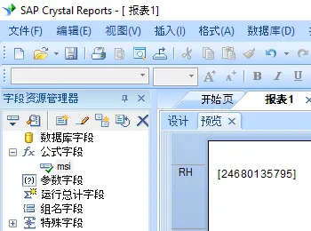 msi 条码 水晶报表 公式 字段